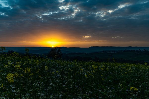 Sonnenaufgang: Blick von Schlaitdorf