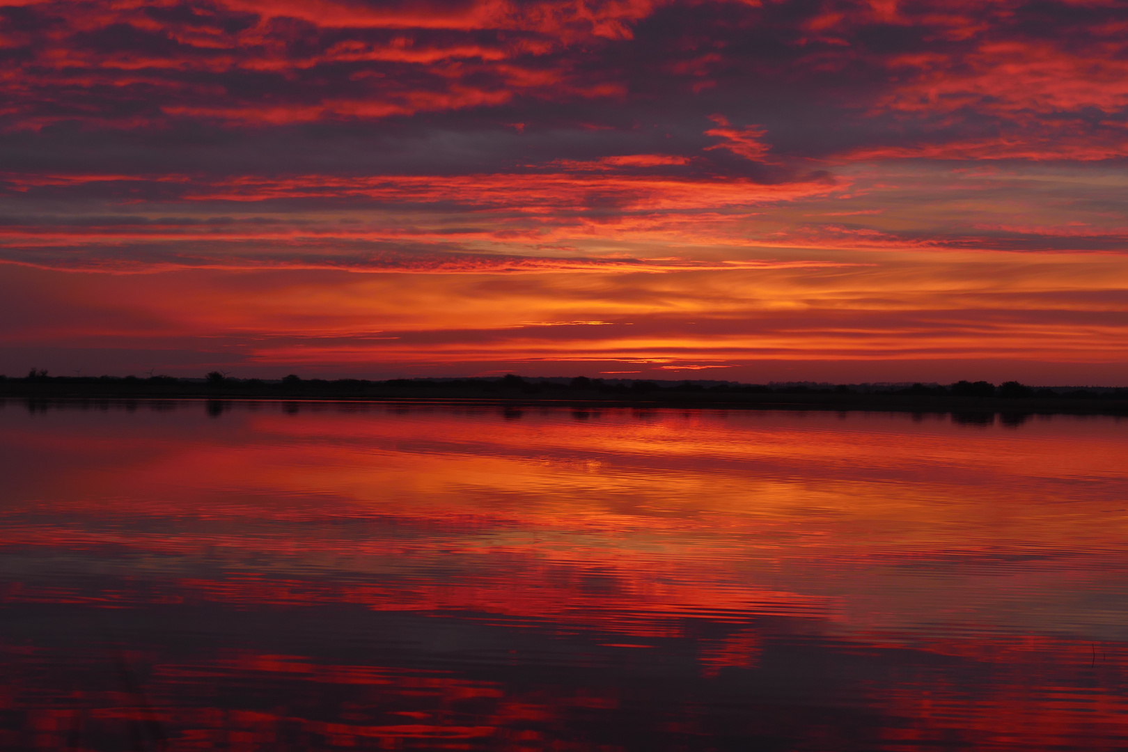 Sonnenaufgang Bodden