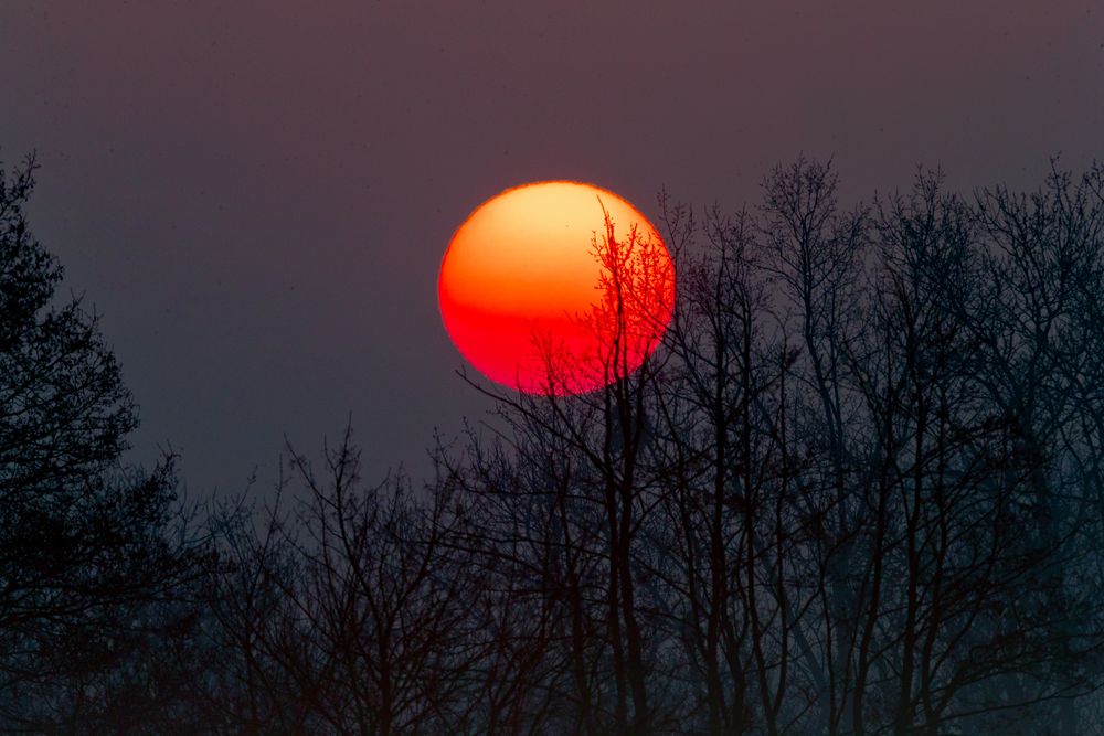 Sonnenaufgang - Brandenburg