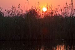 Sonnenaufgang Bwabwata Nationalpark