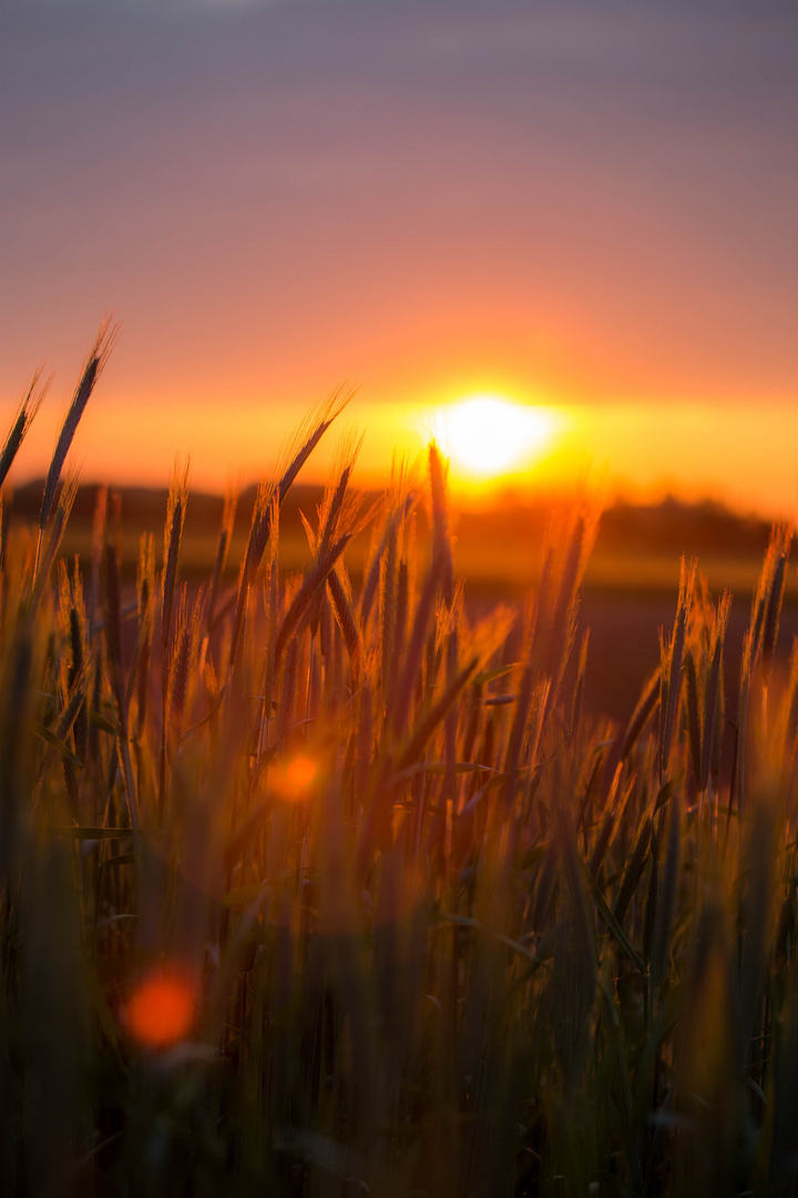 Sonnenaufgang 