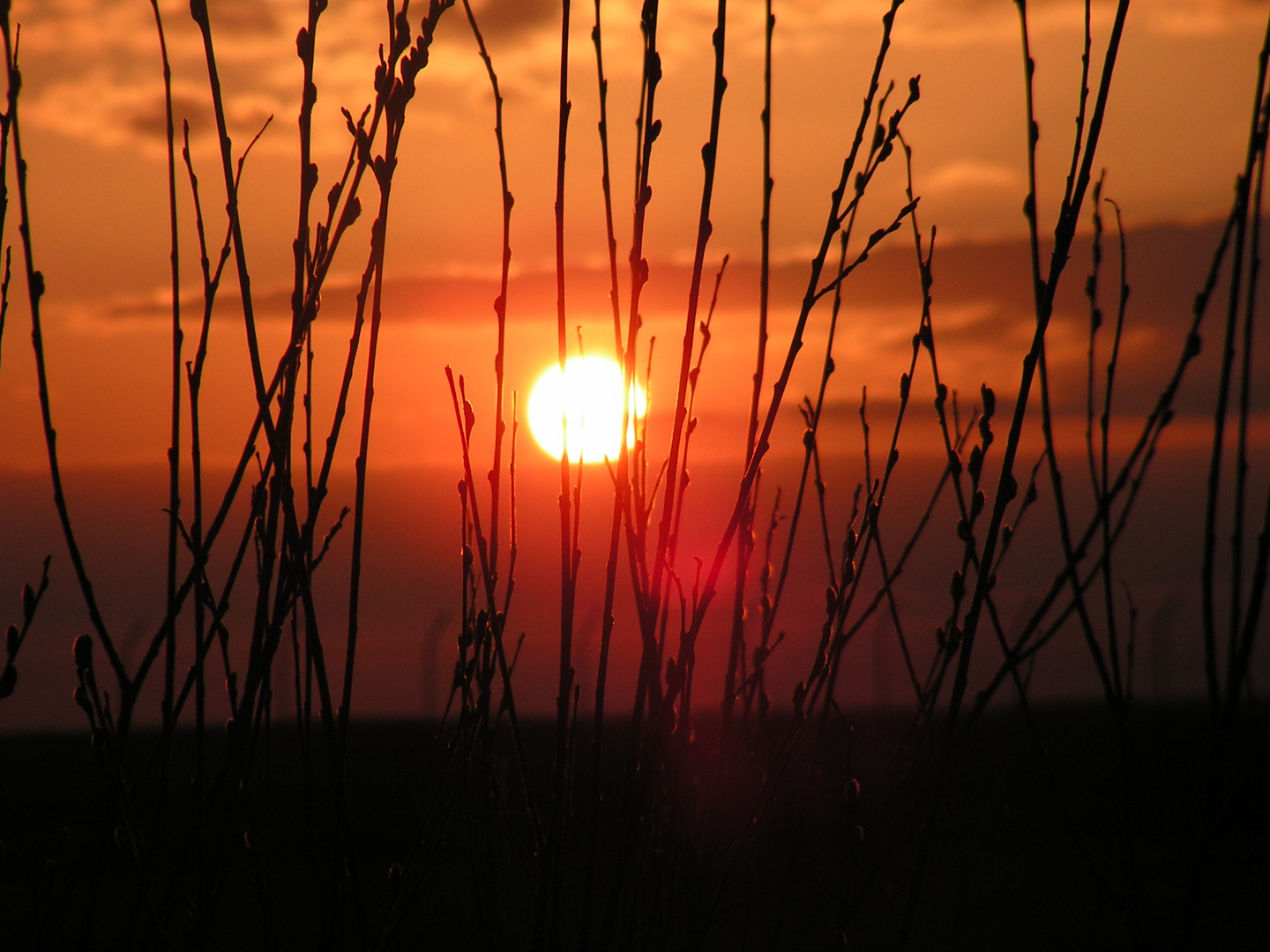 Sonnenaufgang