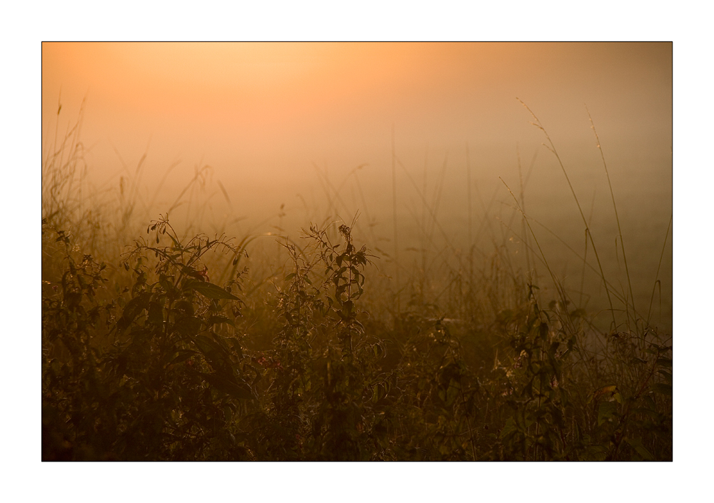 Sonnenaufgang