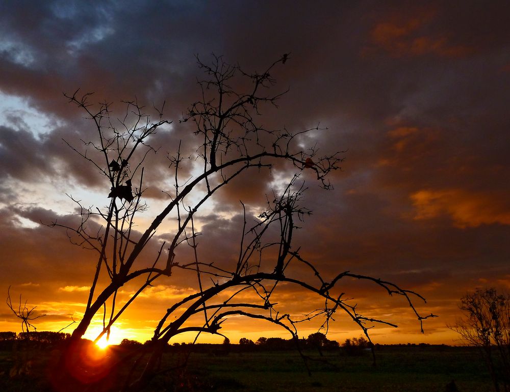 Sonnenaufgang