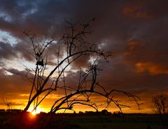 Sonnenaufgang