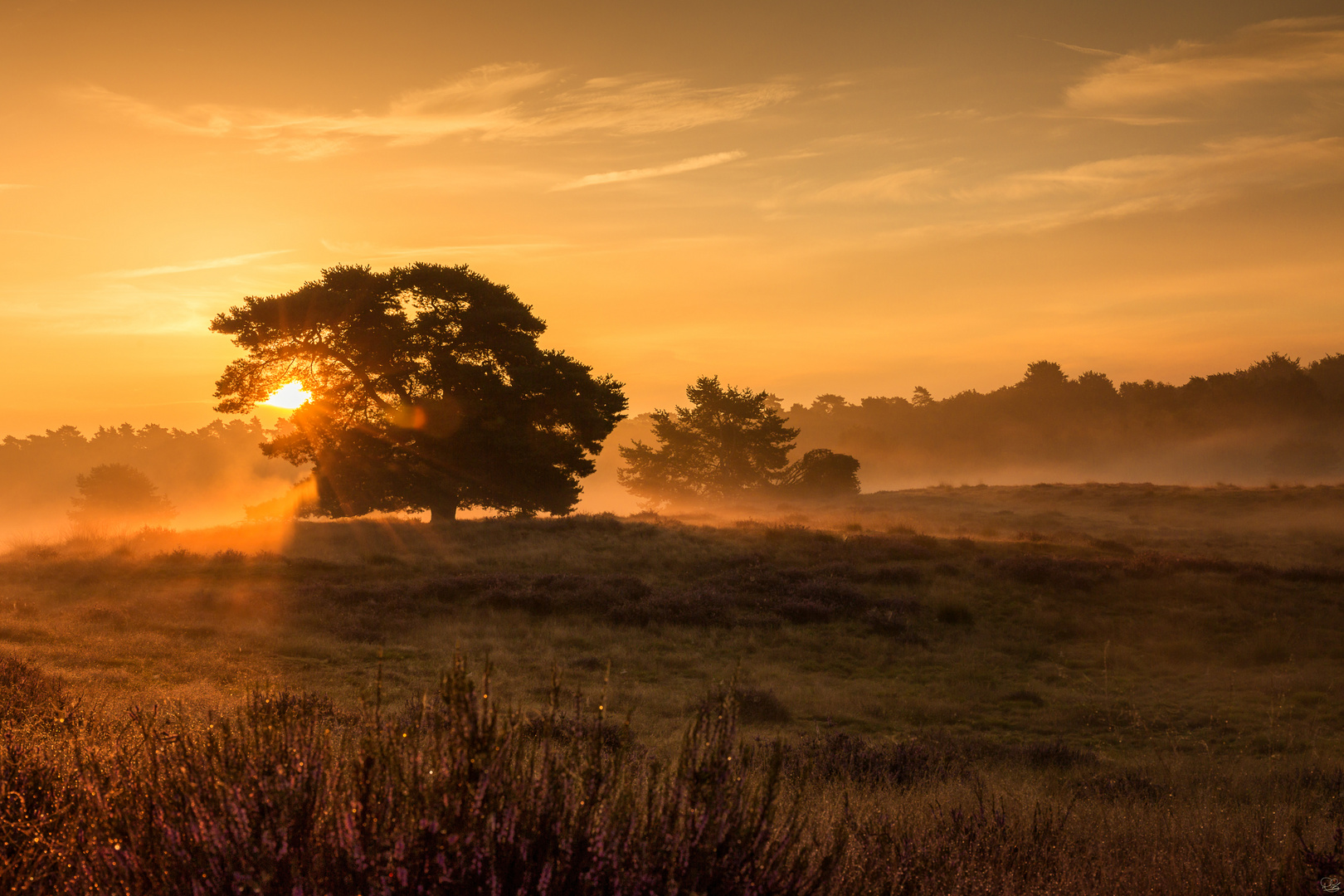 Sonnenaufgang