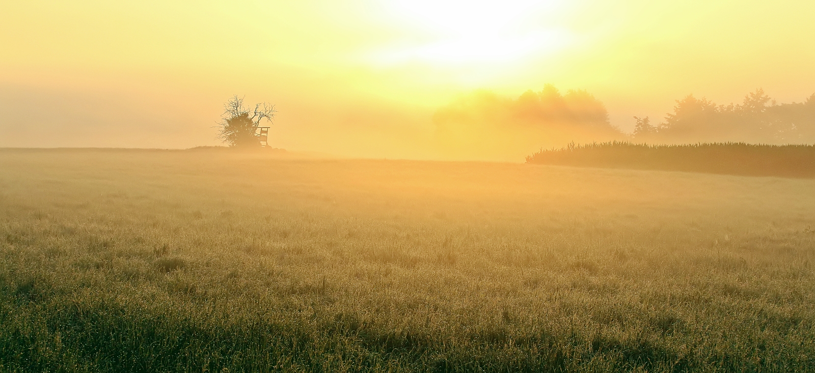 Sonnenaufgang