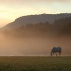 Sonnenaufgang