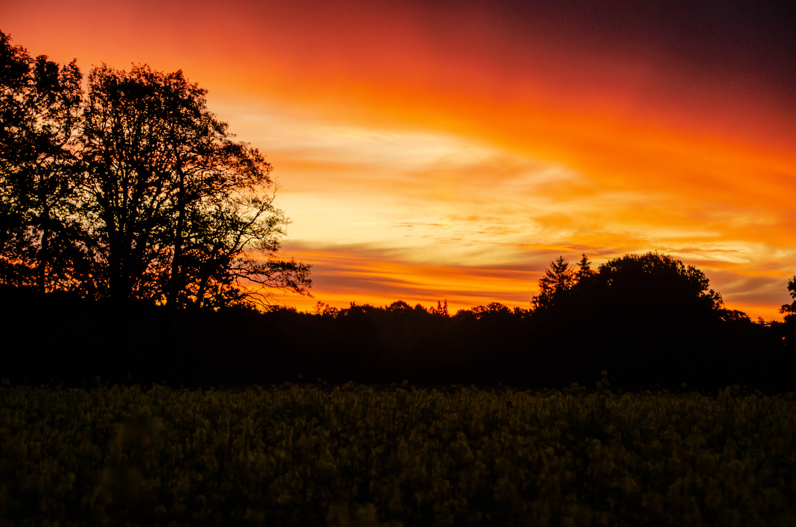 Sonnenaufgang  ca. 7.30 Uhr 