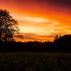 Sonnenaufgang  ca. 7.30 Uhr 