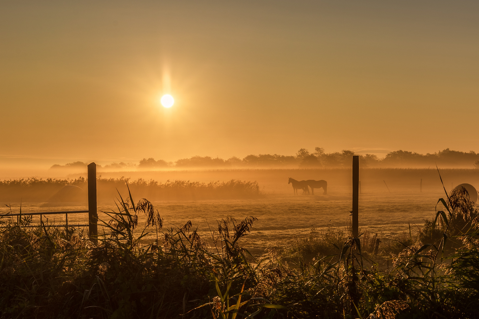 Sonnenaufgang