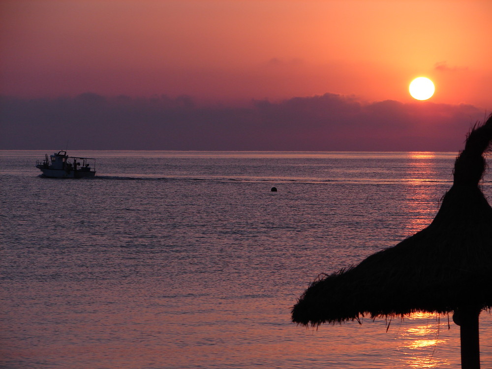 Sonnenaufgang Can Picafort / Mallorca