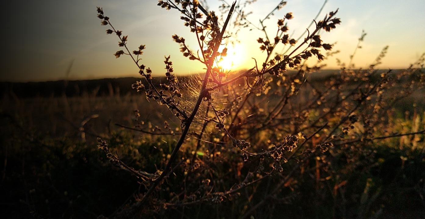 Sonnenaufgang