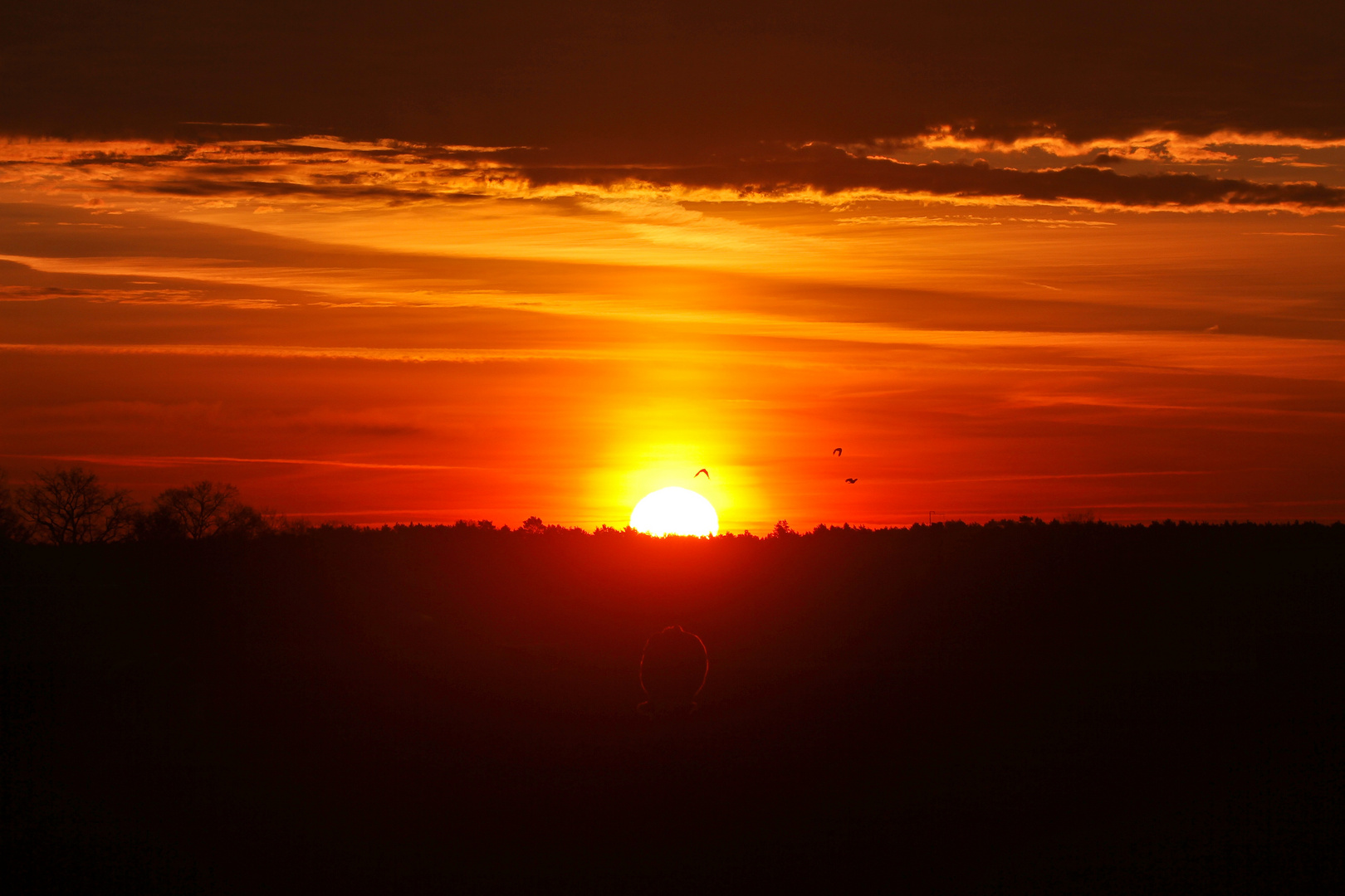 Sonnenaufgang 