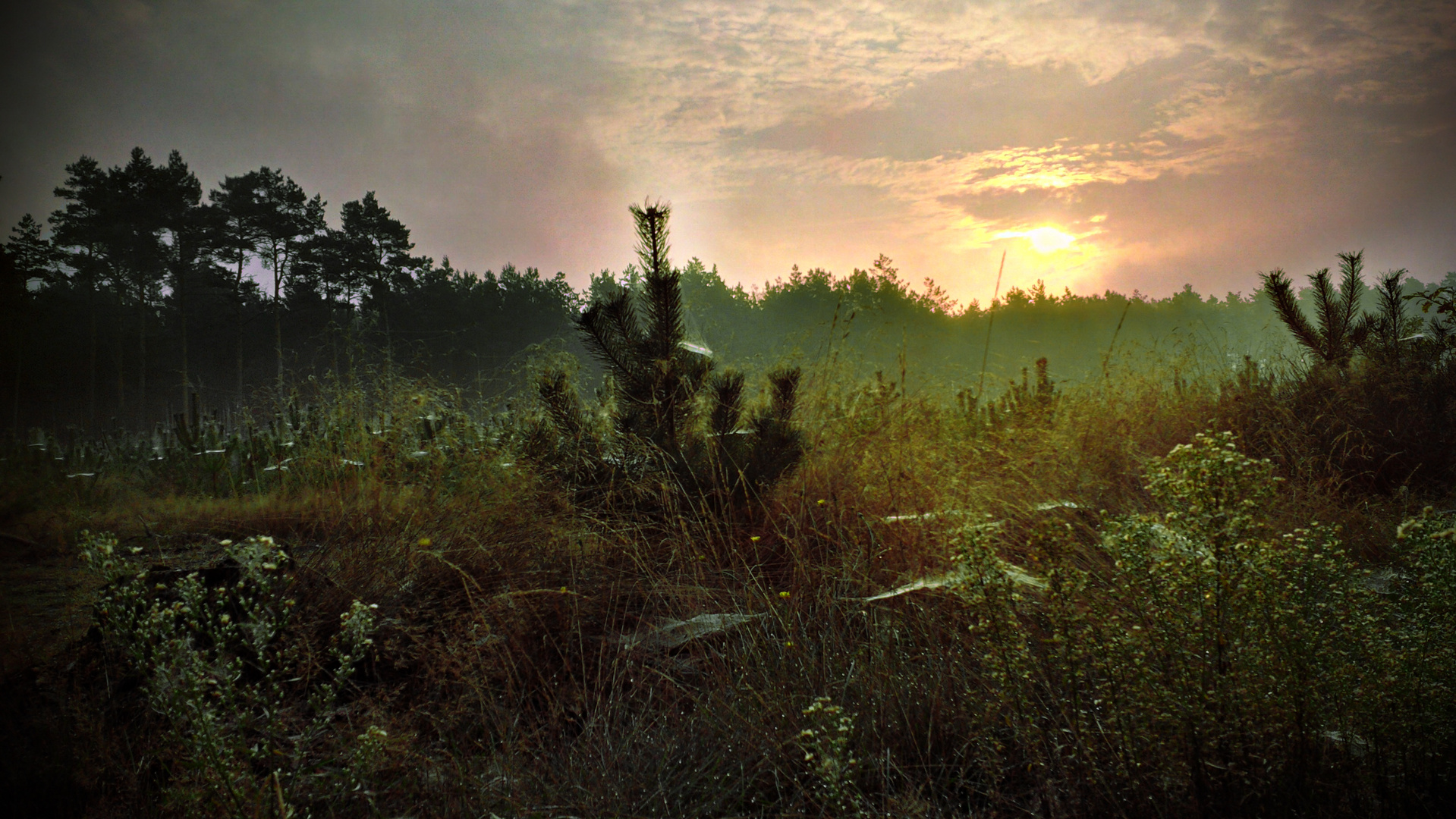 Sonnenaufgang