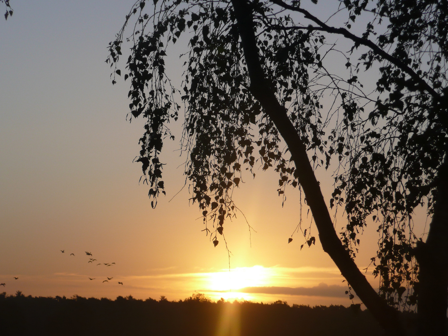 Sonnenaufgang