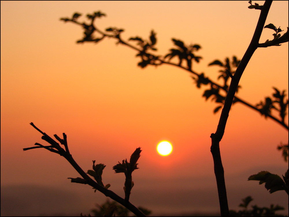 Sonnenaufgang