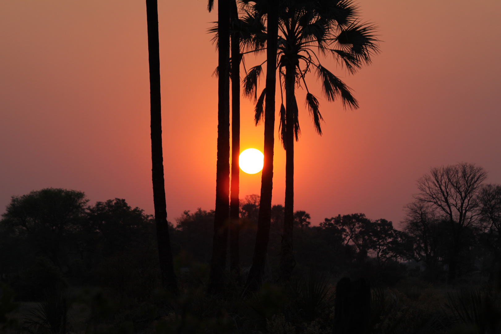 Sonnenaufgang