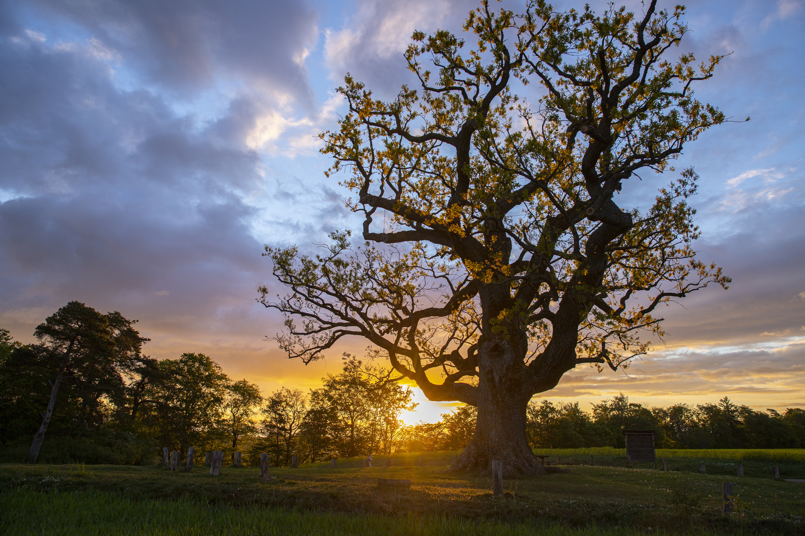 Sonnenaufgang 