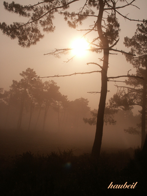 Sonnenaufgang