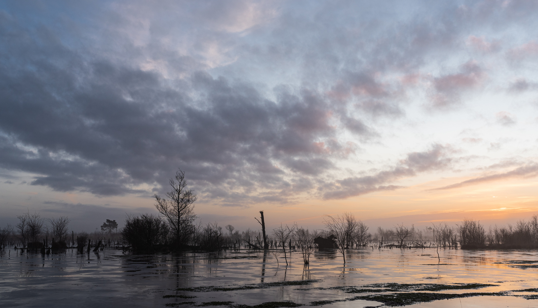 __sonnenaufgang_______