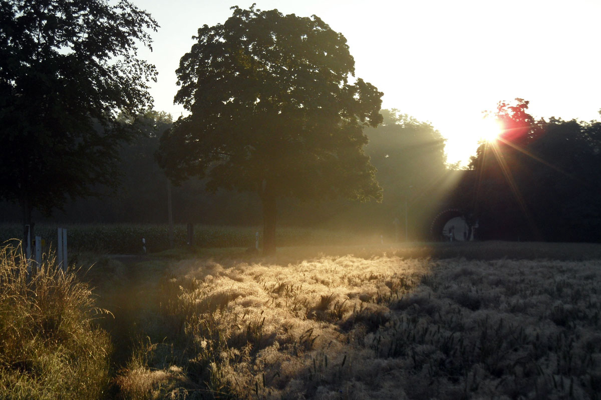 Sonnenaufgang