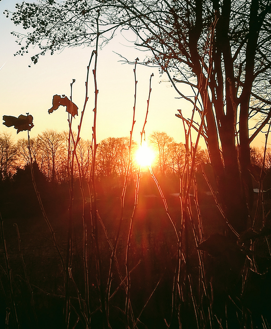 Sonnenaufgang