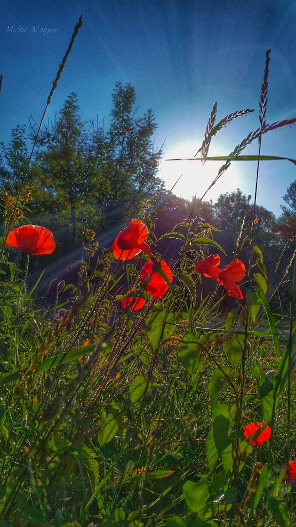 Sonnenaufgang