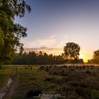 Sonnenaufgang Depot Bracht