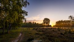 Sonnenaufgang Depot Bracht