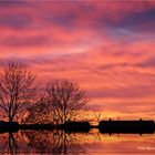 Sonnenaufgang der letzte im Dezember .... Prost Neujahr