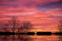 Sonnenaufgang der letzte im Dezember .... Prost Neujahr