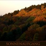 Sonnenaufgang, der zweite