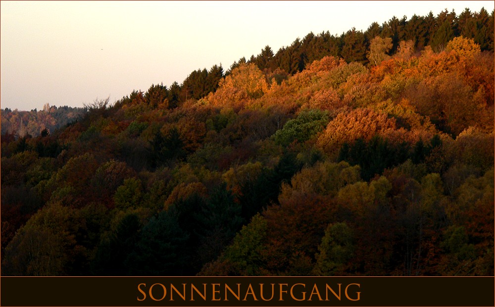 Sonnenaufgang, der zweite