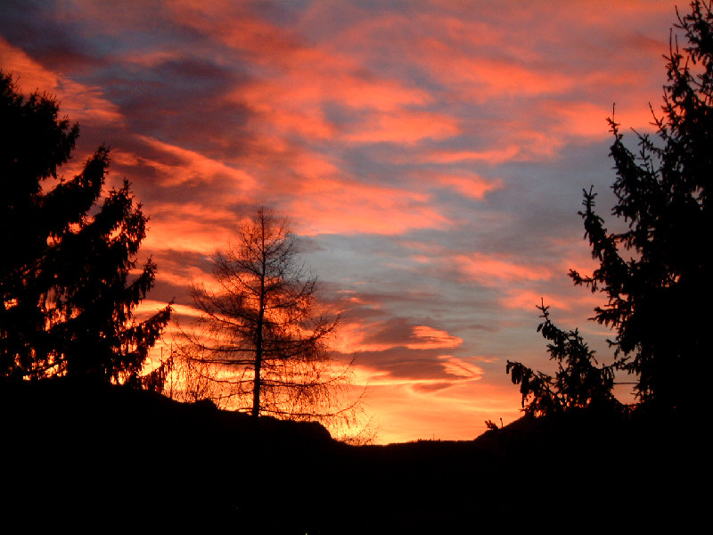 Sonnenaufgang Dezember 2003 Baum