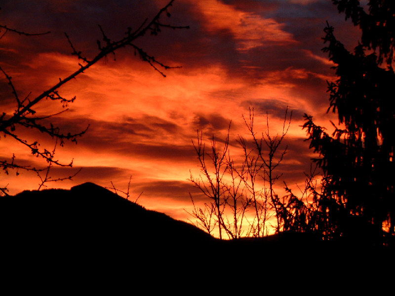 Sonnenaufgang Dezember 2003 Orange