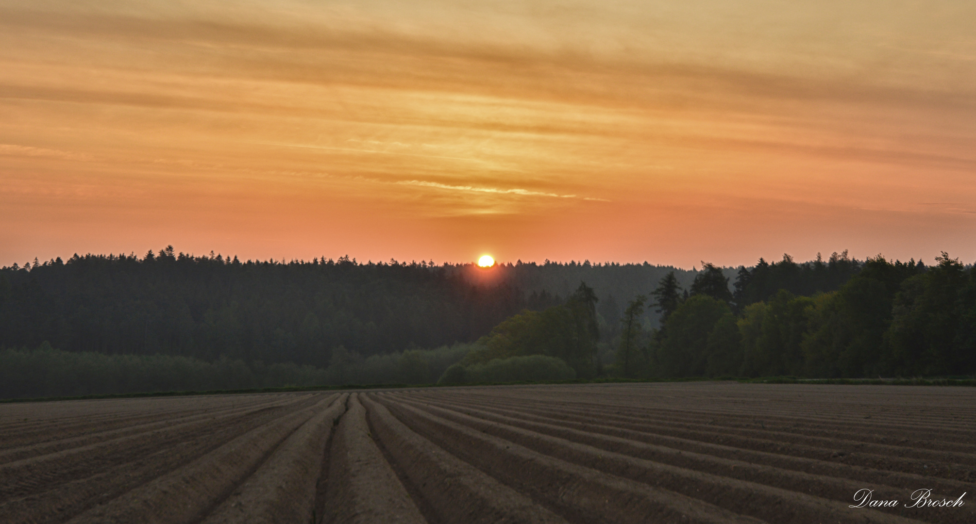 ...Sonnenaufgang