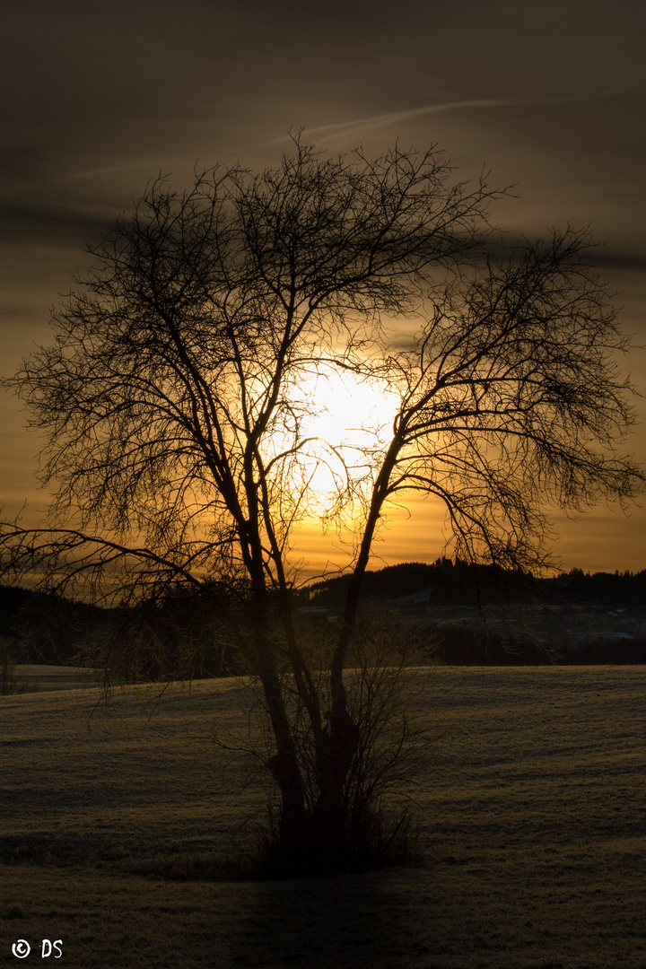 Sonnenaufgang