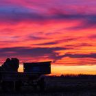 Sonnenaufgang - Die Tiere begrüßen den Tag