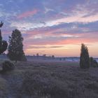 Sonnenaufgang Döhler Heide, Lüneburger Heide 2007, Landschaftsfoto-Workshop