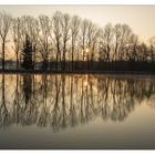 Sonnenaufgang Donautal Ulm