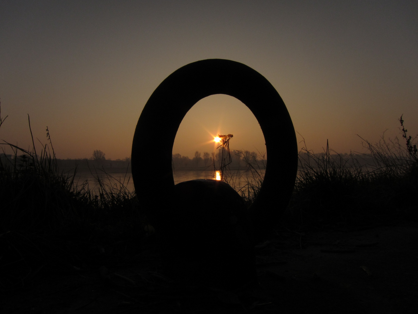 Sonnenaufgang durch Anlegering am Rheinufer