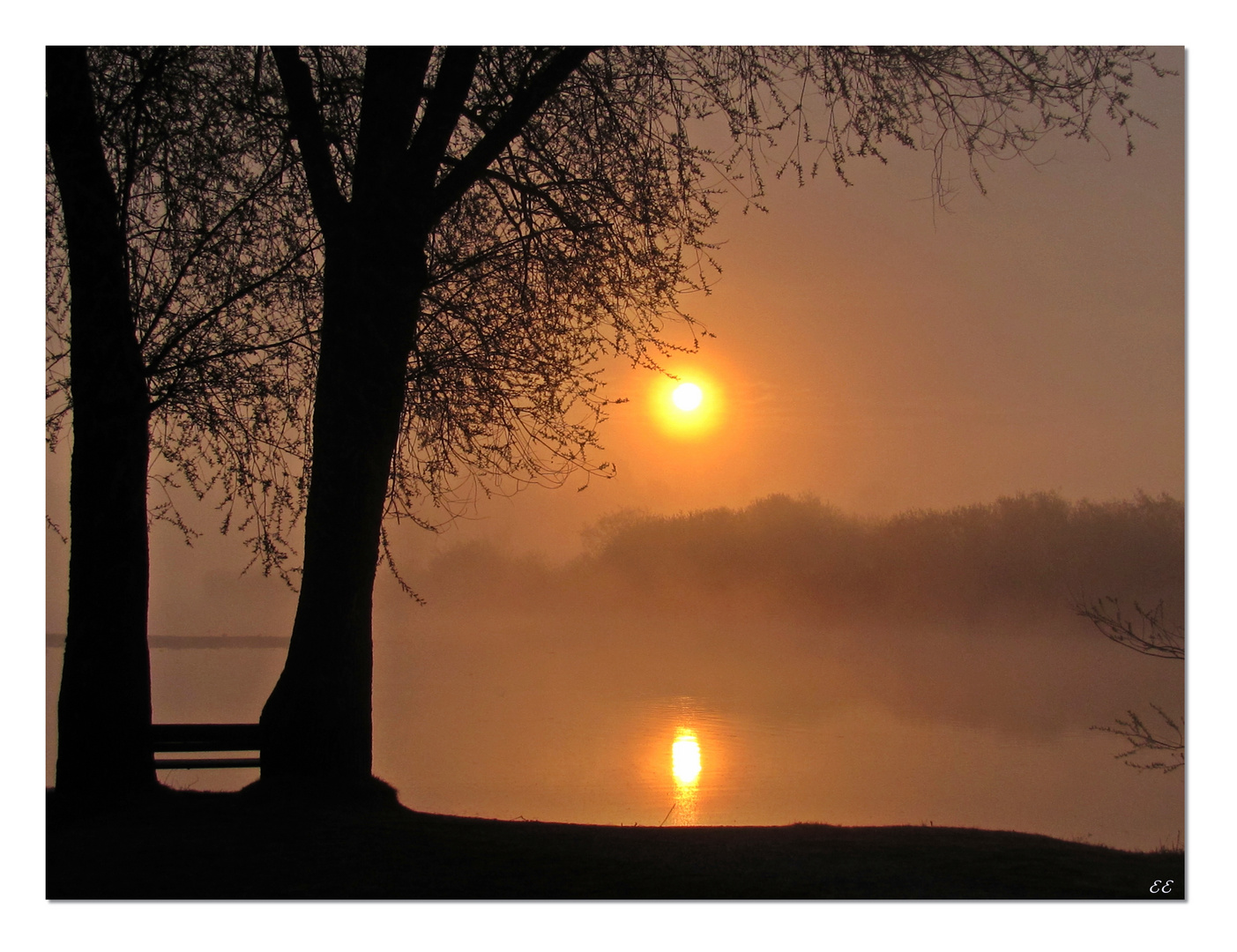 Sonnenaufgang durch den Nebel