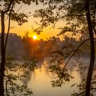 Sonnenaufgang durch die Äste