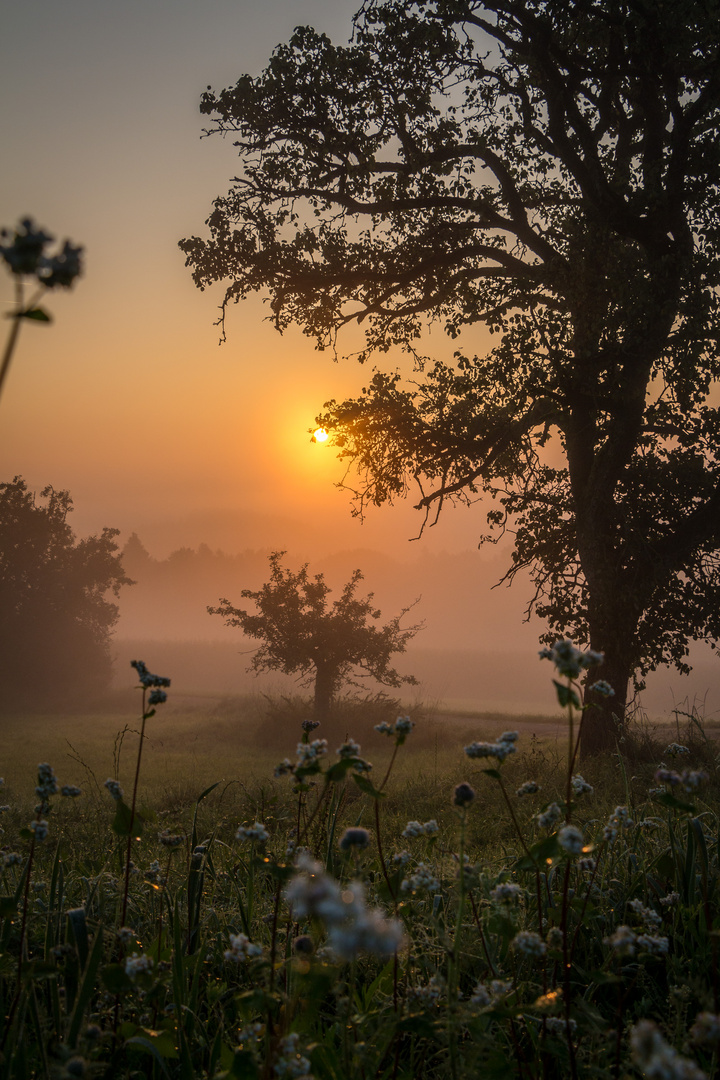 Sonnenaufgang