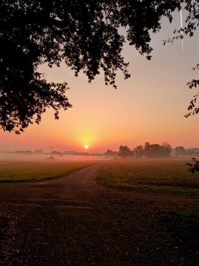 Sonnenaufgang 