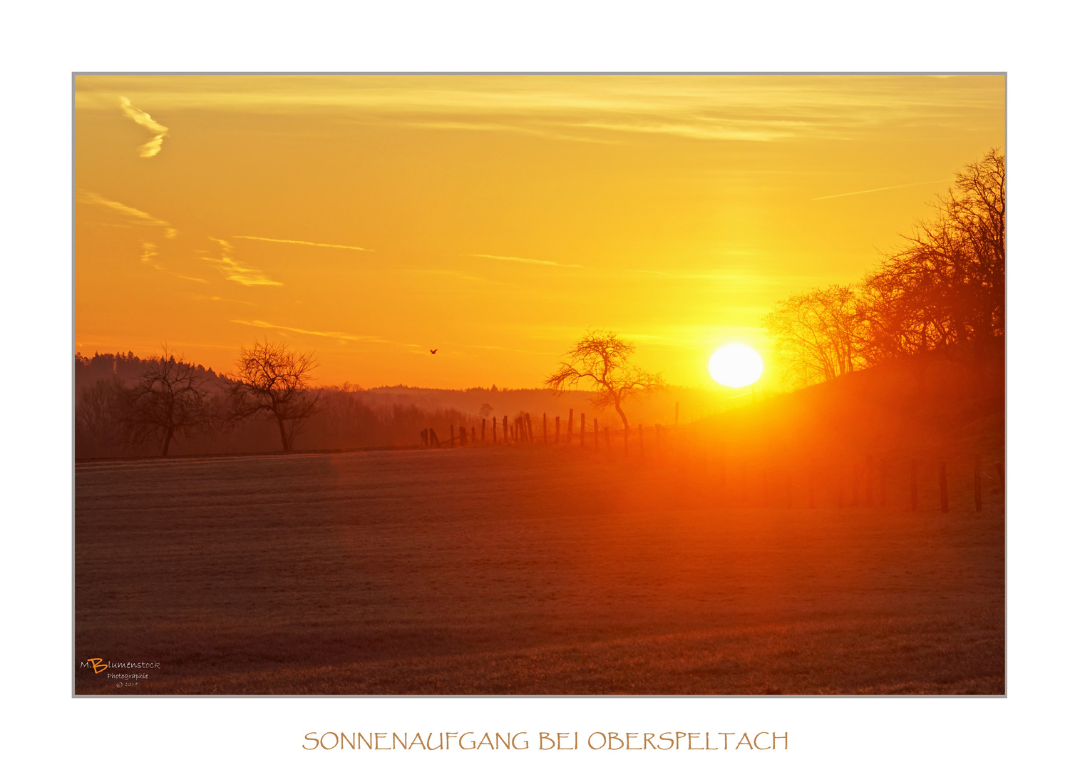 SONNENAUFGANG Foto & Bild | deutschland, europe, baden- württemberg