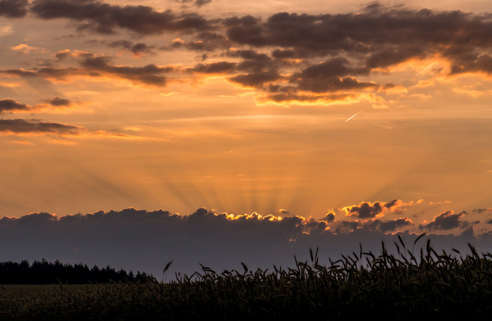 Sonnenaufgang Foto & Bild world, sommer, sonnenaufgang Bilder auf