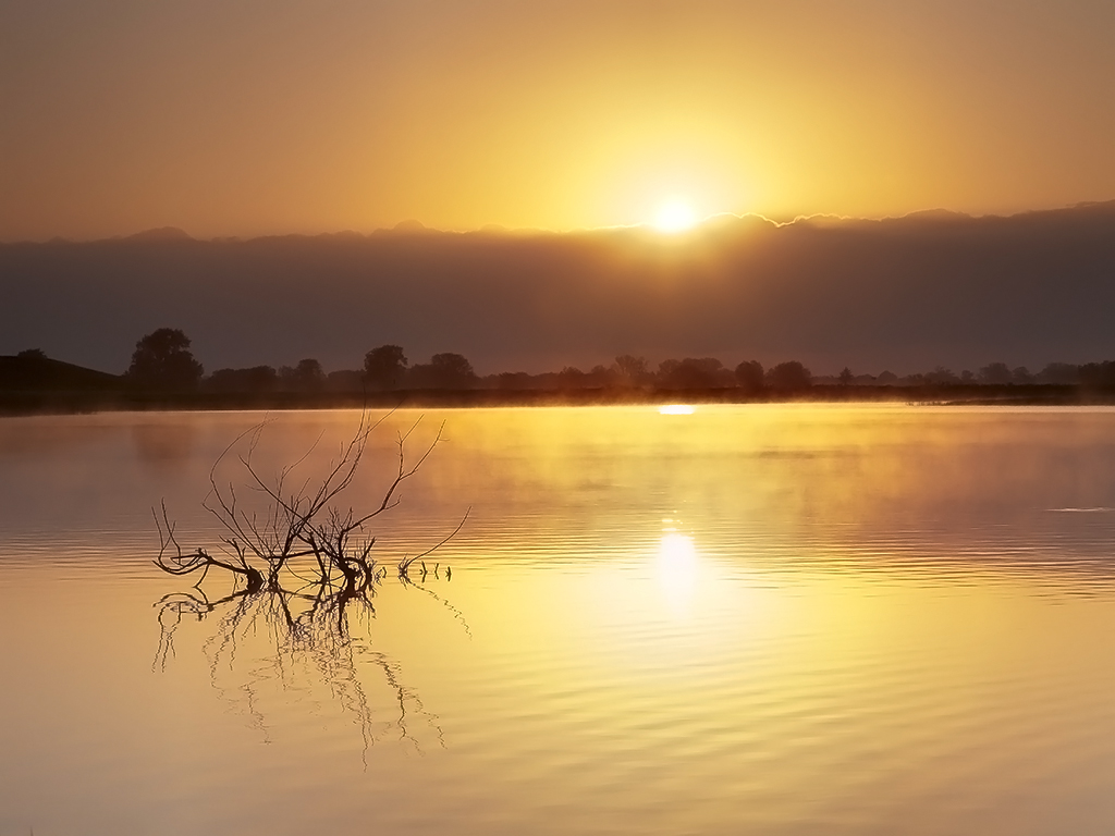 Sonnenaufgang Elb-Altwasser