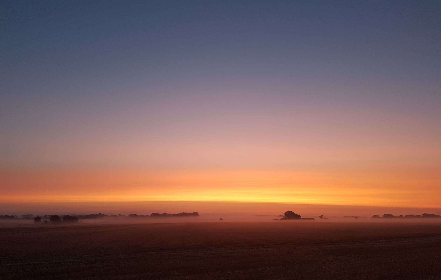 Sonnenaufgang Elbaue bei Lutherstadt Wittenberg 